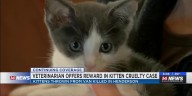 Dixon veterinarian sets $10,000 reward in animal cruelty case