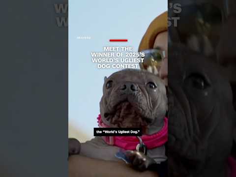 Meet the winner of 2025’s World’s Ugliest Dog Contest