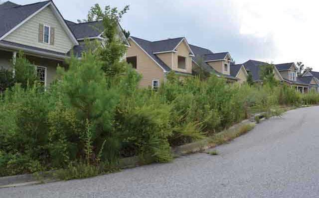 The site of this abandoned subdivision at the center of a federal fraud case could be redeveloped