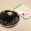 Legionnaires' inspections sank to near-record low ahead of NYC outbreak