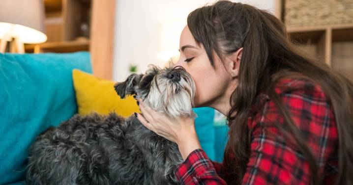Avanza en comisión del Trabajo de la Cámara proyecto que otorga permiso laboral por muerte de mascota