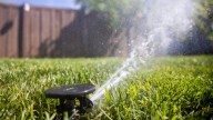 Rain is finally here, water conservationists encourage turning off your sprinklers
