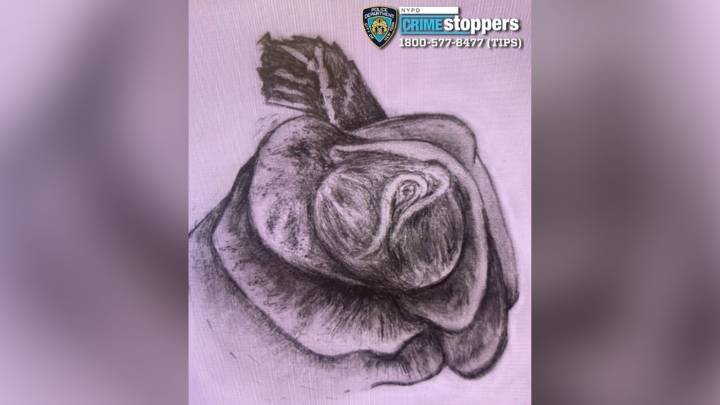 Cops hope to ID woman’s remains found off Queens highway through jewelry, tattoo