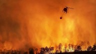 Castilla y León contrató 24 millones con la empresa que buscaba bomberos sin experiencia