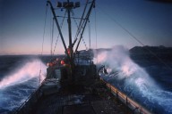 Where to watch ‘Deadliest Catch’ season 21, episode 4: Free streaming options