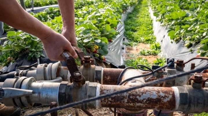 Detectan extracciones ilegales de 1.200 millones de litros de agua en el Alto Guadiana