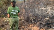 Un segundo incendio en la Sierra Morena de Sevilla afecta a un paraje de Guadalcanal