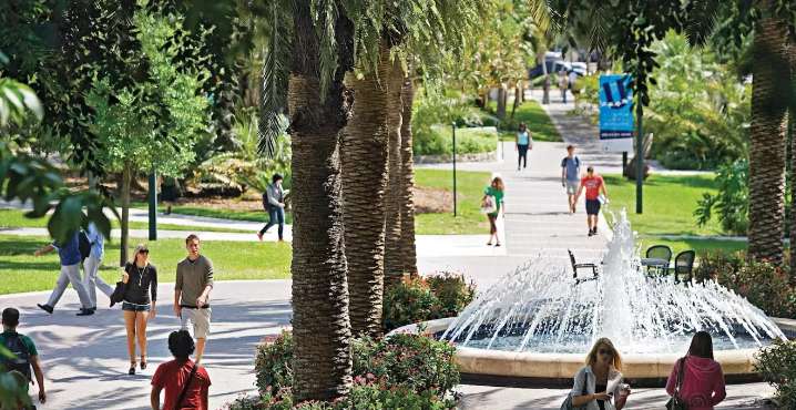 Video: Person Kicks Beloved Miami Campus Duck Ivan