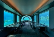 Immersive dining turns restaurants into stages for edible theater