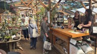 Yachats River Valley Farm Tour celebrates 15 years of produce, plants and more