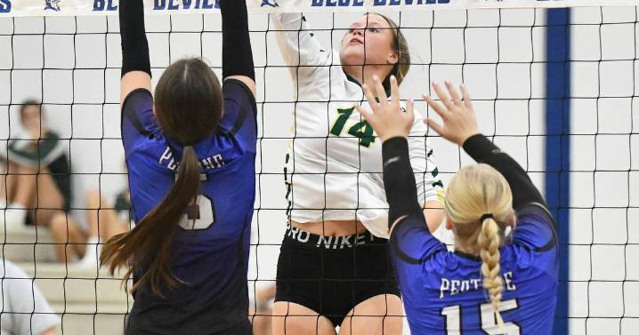 Daily Journal 2025 girls volleyball preview capsules