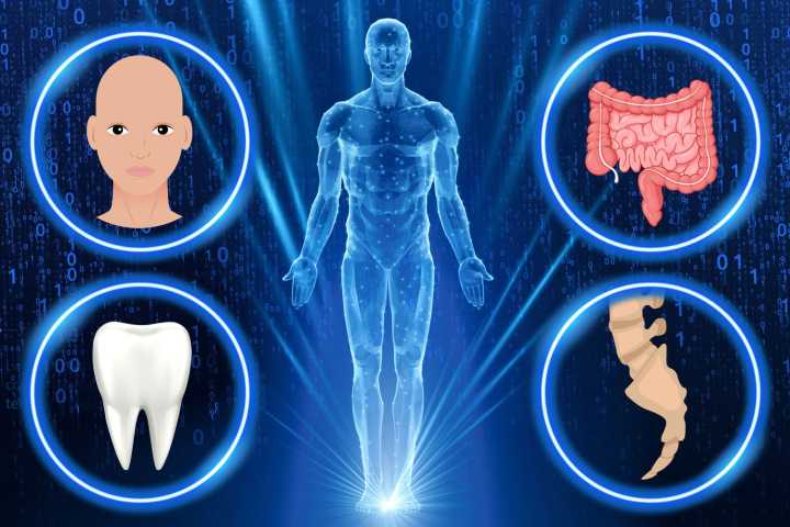 Future humans ‘will be hairless & lose FOUR other body parts' thanks to modern lifestyles