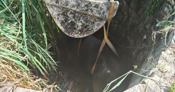 Rescatan a caballo tras caer a un pozo en Valles