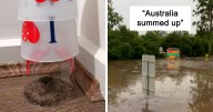 This Online Community Celebrates The Land Of ‘Nope’, Here Are 38 Of The Best Pics