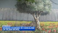 Chicago crime: Danielle Wasserman charged with hate crime in Pilsen Mexican-Palestinian mural vandalism and attack, officials say