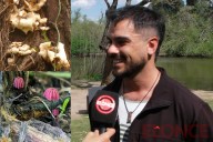 Hongos en el Islote Curupí: “Está bueno saber qué tenemos y qué no queremos perder”