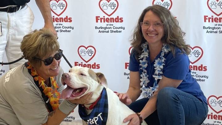 Looking for a sidekick? BurlCo Animal Shelter to host open house