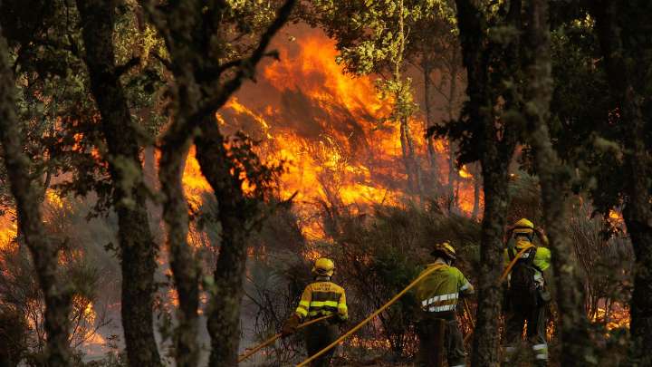 "Riesgo extremo" de incendios en Castilla y León: Protección Civil alerta a León, Zamora y Palencia
