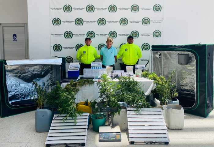 Policía desbarató laboratorio clandestino de marihuana