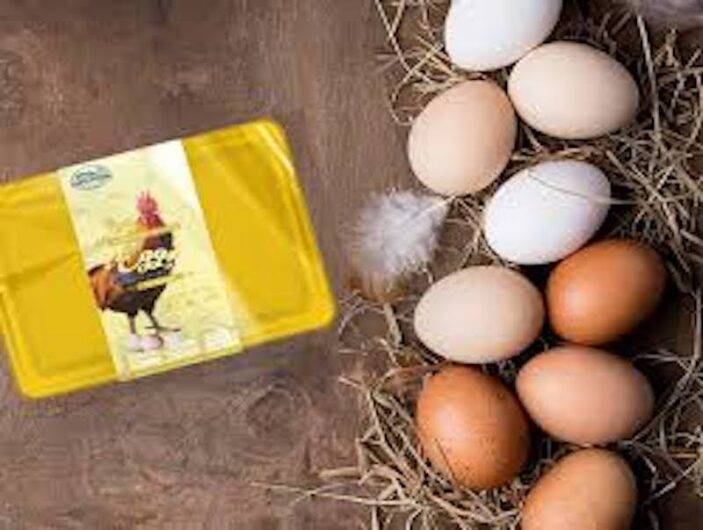 Famosa marca de huevos contaminada con bacteria: FDA