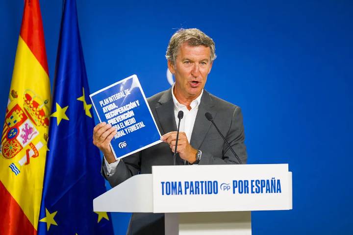 El PP propone medidas de alivio fiscal para hacer los bosques rentables