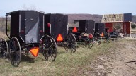 Convoy of Mennonite Truckers On Their Way To Ottawa