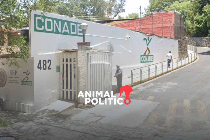 “Llevamos más de dos meses sin cobrar”: trabajadores denuncian que Conade no les paga su sueldo