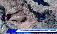 Restos de gliptodonte fueron hallados entre Líbaros y Basavilbaso