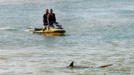 How many shark attacks in the US in 2025 so far? See list
