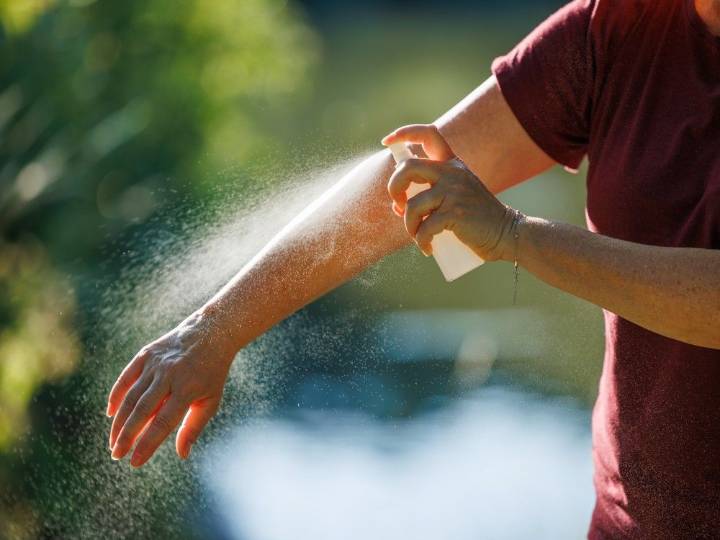 Officials confirm human case of West Nile virus in Ottawa