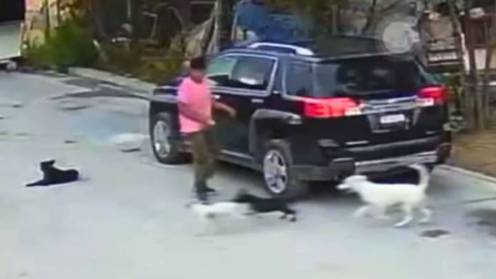 Video: Cámaras de seguridad captan robo de camioneta en Salinas Victoria