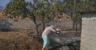 Photos of burning wildfires in Greece