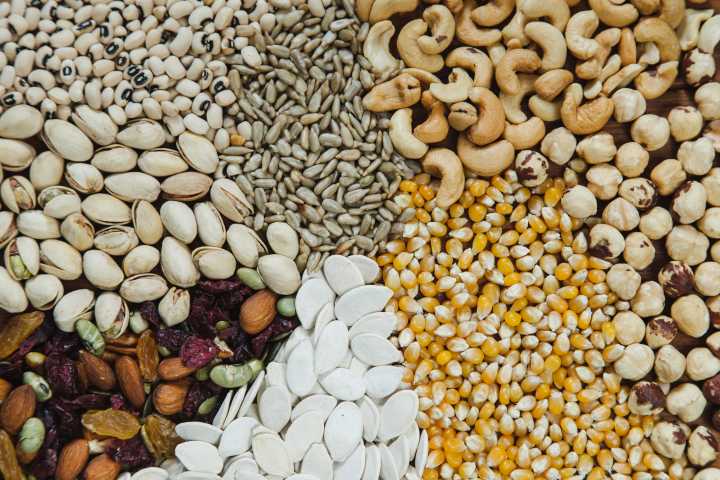 “All About Seeds” workshop! September 6th at Washington
