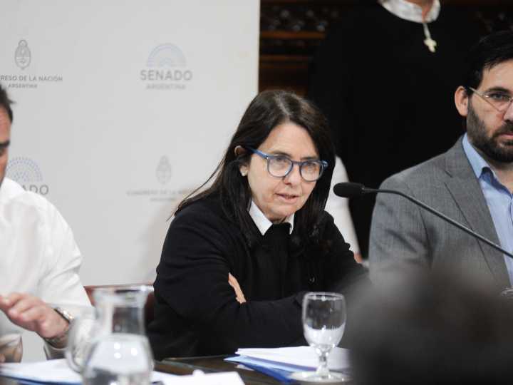 Polémicos dichos de una senadora del PRO: "No creo que los niños argentinos tengan derecho a venir al Garrahan a ser curados"
