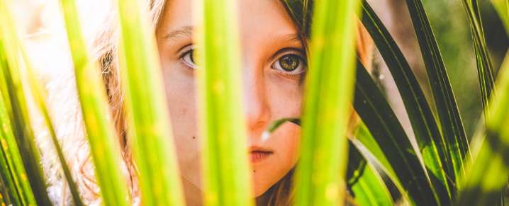 The Words Humans Use to Describe Nature Are Vanishing, Study Finds