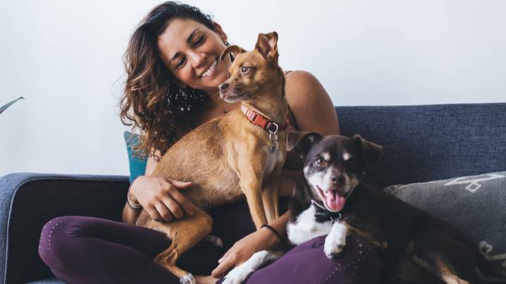 Qué significa tener más de dos mascotas, según los expertos