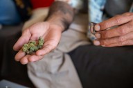 New York’s Must-Try Weed Drops and Dispensary Deals