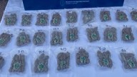 La Policía Federal encontró ocho kilos de marihuana en un camión de una empresa de transporte