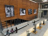 Festín cinematográfico en la Cineteca Nacional Chapultepec