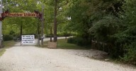 Animal activists say more could have been done to save 22 euthanized fawns