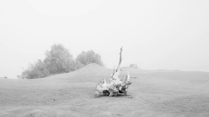 'Brisas del Atlántico': la fotografía contemporánea de Canarias aterriza en Corea del Sur