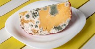Ordenan suspender un queso muy popular por riesgo de Salmonella y restos de ratas
