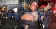 Rescate en medio del agua... y de la polémica: Redes bautizan a Alessandra Rojo de la Vega como #LadyMontajes