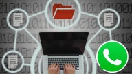 WhatsApp: cuáles son los archivos que más espacio consumen y cómo liberar memoria