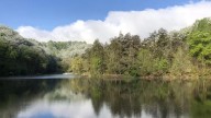 Officials seek community input on Jefferson Memorial Forest master plan; Find survey here