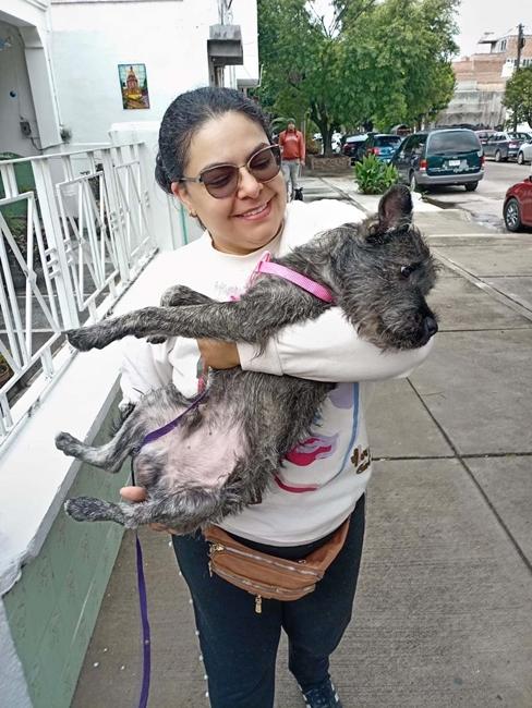El quirófano veterinario móvil brindará atención gratuita en San Antonio y...