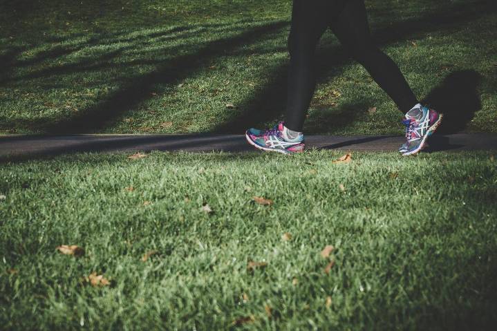 Explore Walkable Wonders of Top City In Washington