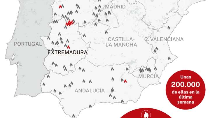 Las dos semanas de horror que arrasaron España