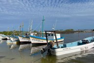 Marea roja se disipa en la costa de Yucatán: En Chicxulub reabren una zona, pero en Celestún sigue la restricción