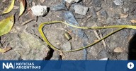 Los Hornos: un policía se tiroteó con motochorros, uno huyó y el otro murió